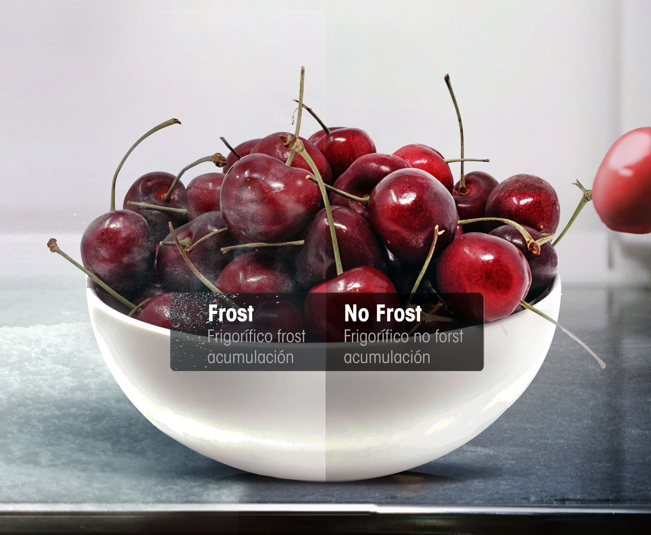 TOTAL NO FROST