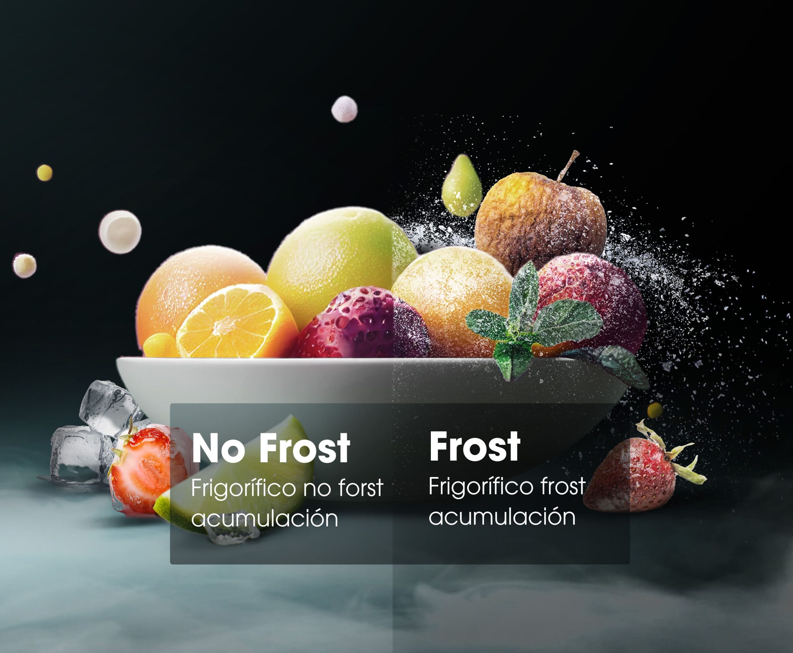 TOTAL NO FROST