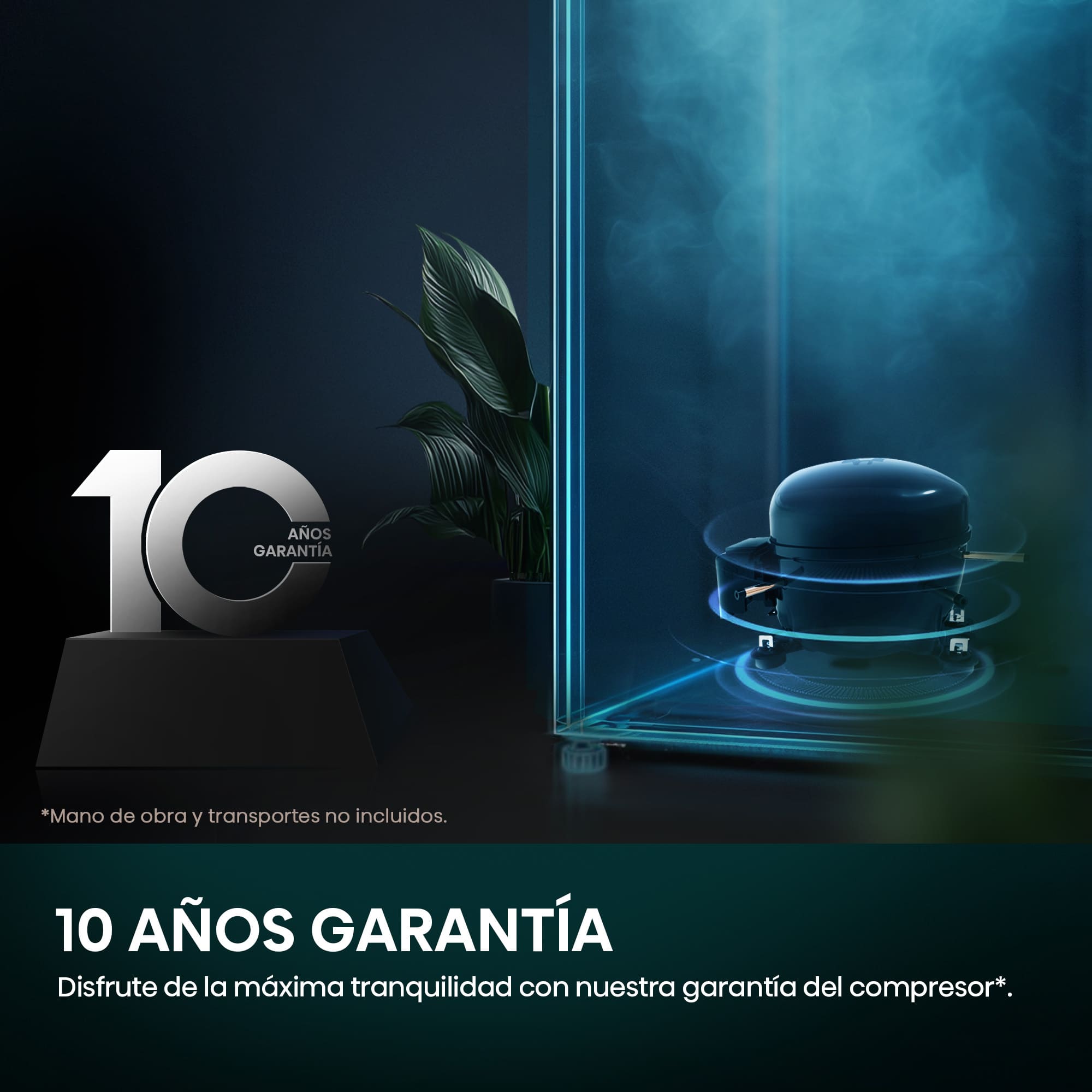 10 años de garantía