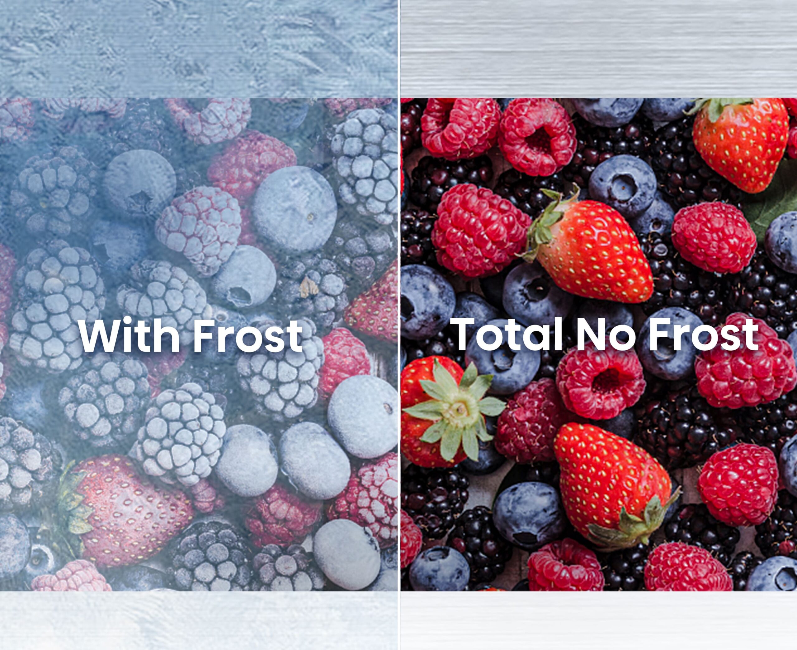 Total No Frost